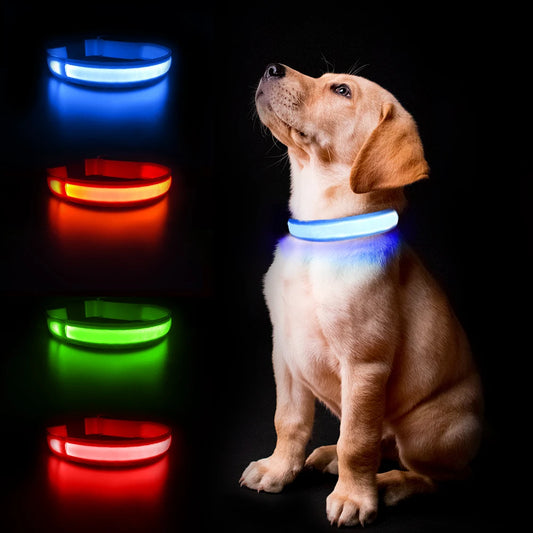 Luminous Waterproof Dog Collar - Fresh FInds Elite