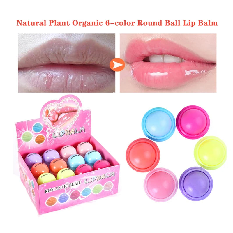 24pcs/Box Fruit Flavor Lip Balm - Fresh FInds Elite