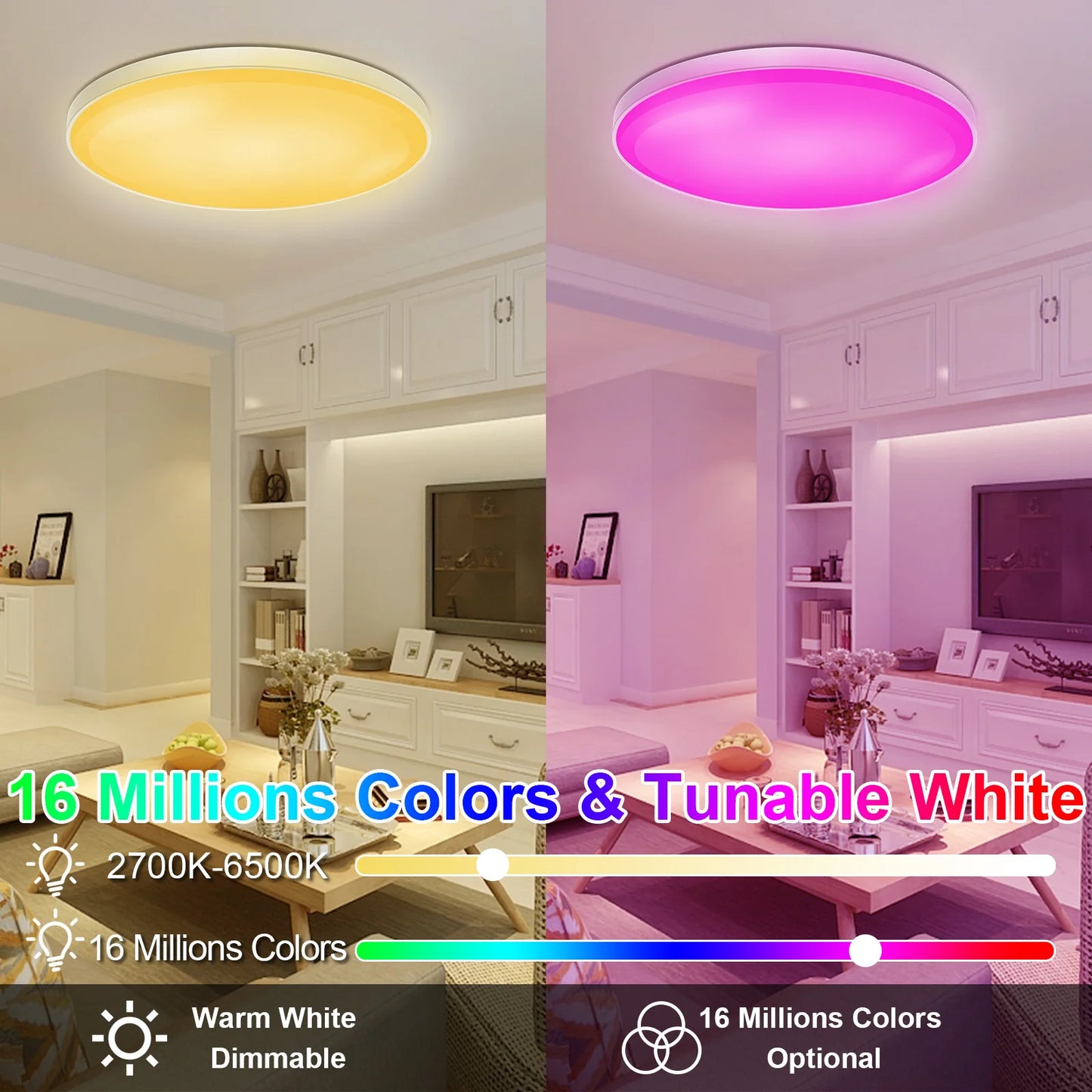 Smart LED Ceiling Light