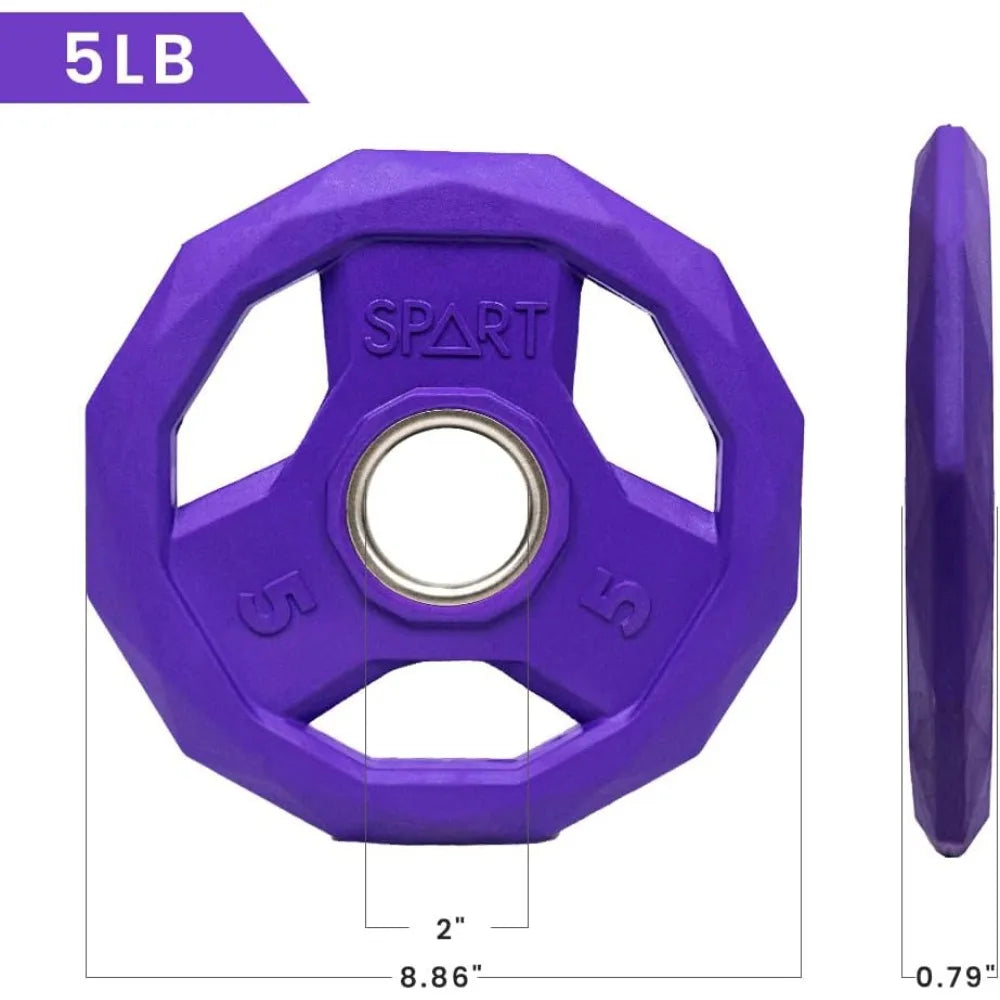 Dumbbell Handles with 60LB Weight Plate Set