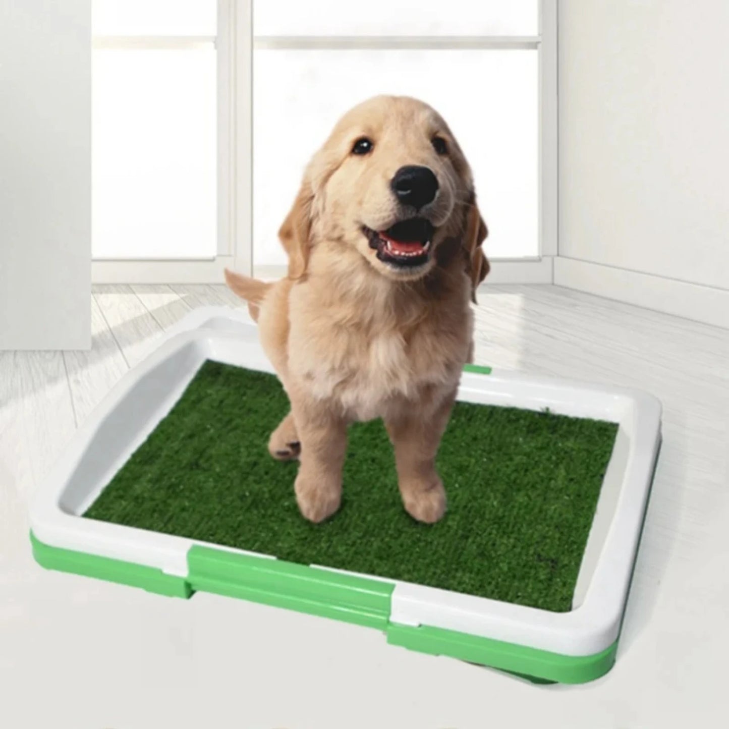 Artificial Grass Dog Training Toilet