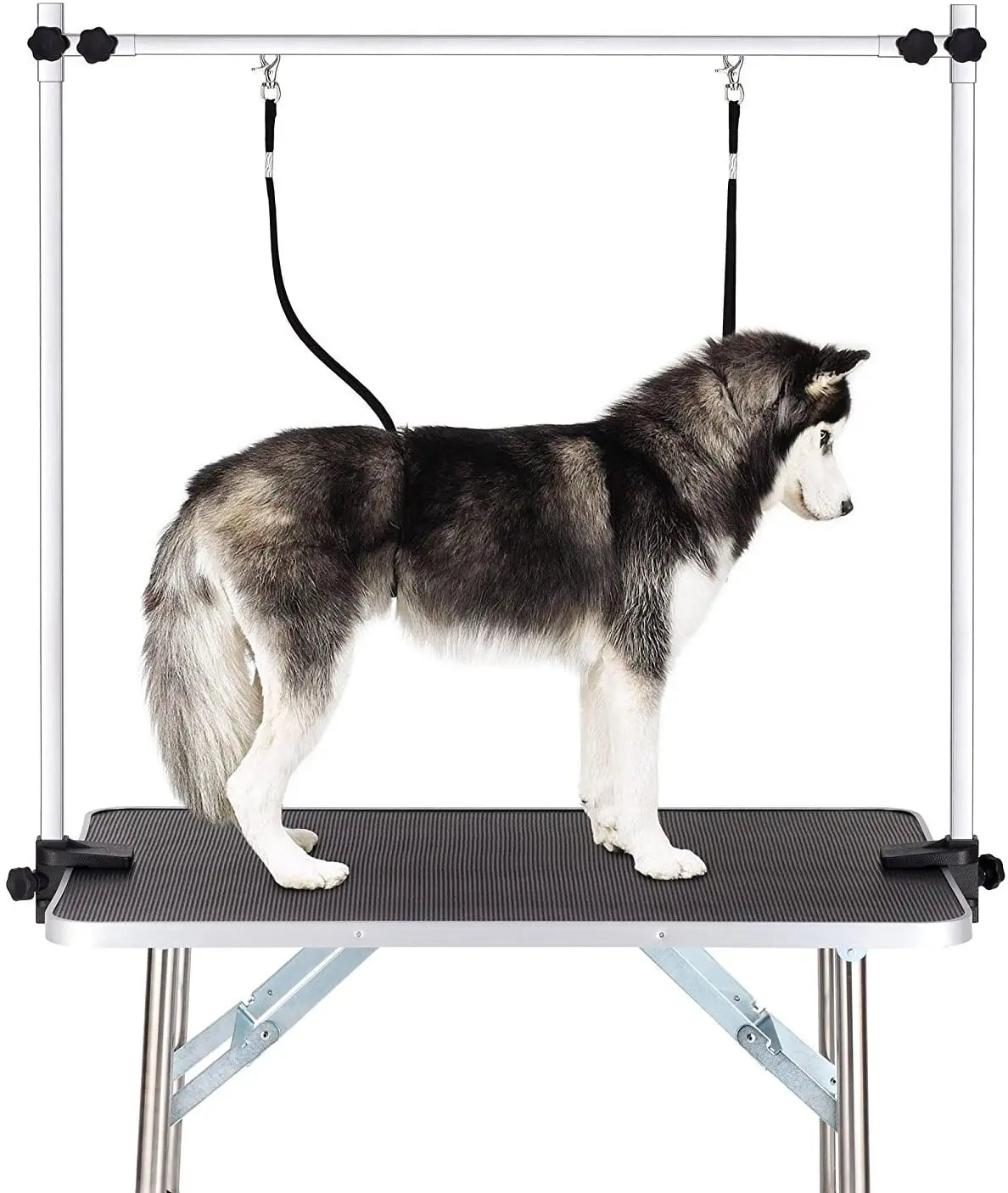 36"/46" Professional Dog Pet Grooming Table