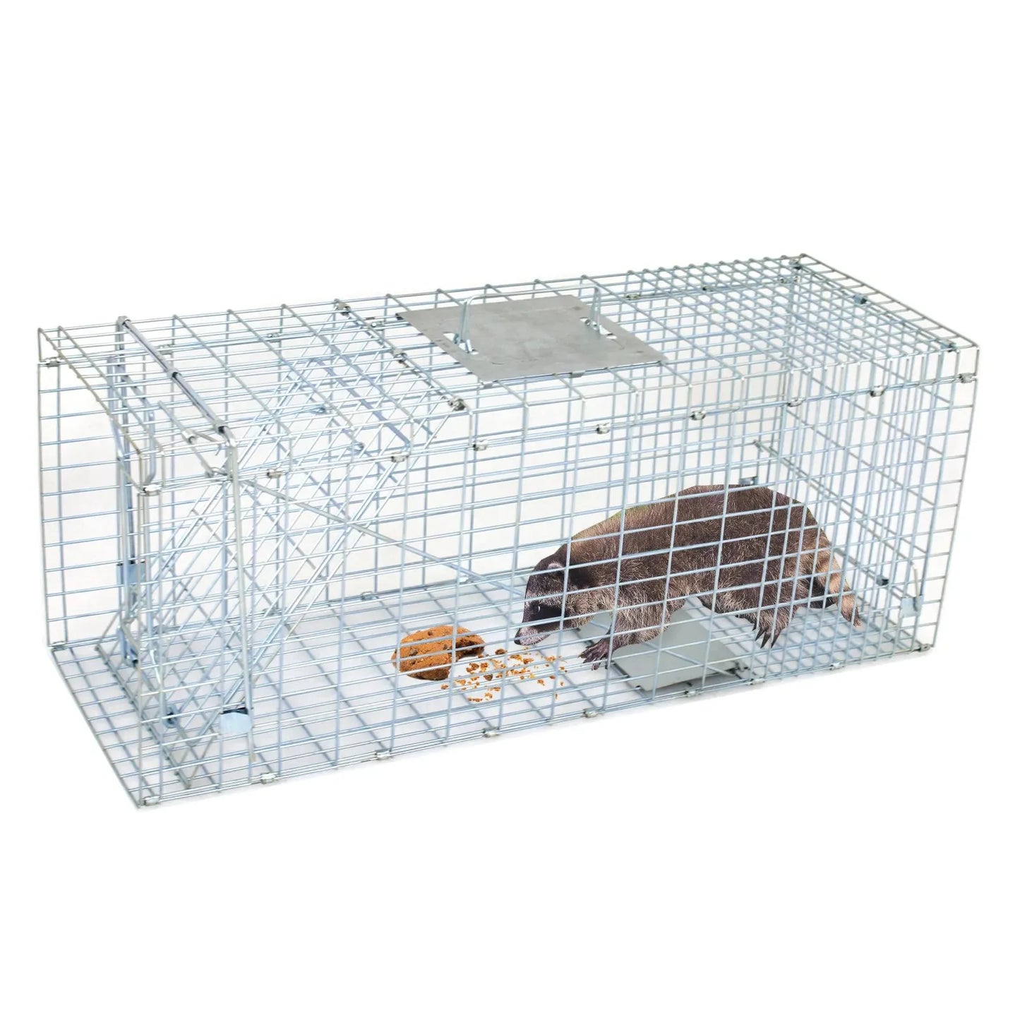 Live Animal Trap