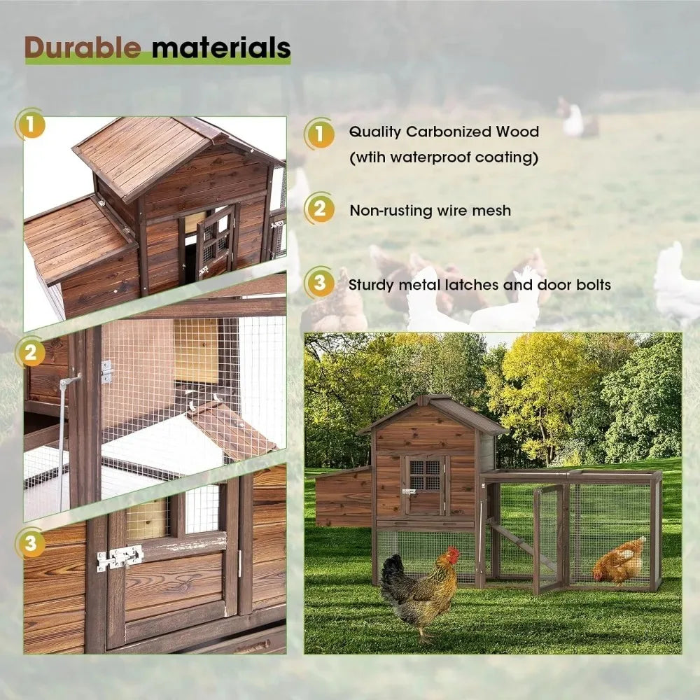 Outdoor Chicken Coop