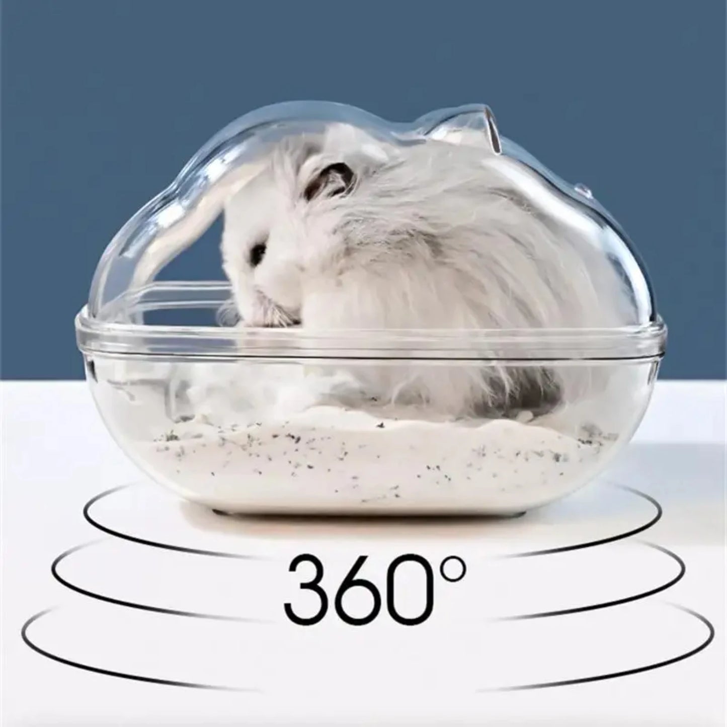 Transparent Hamster Bathroom