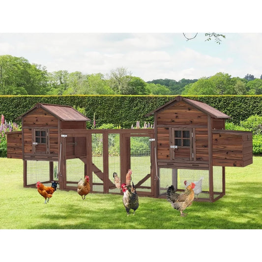 Outdoor Chicken Coop